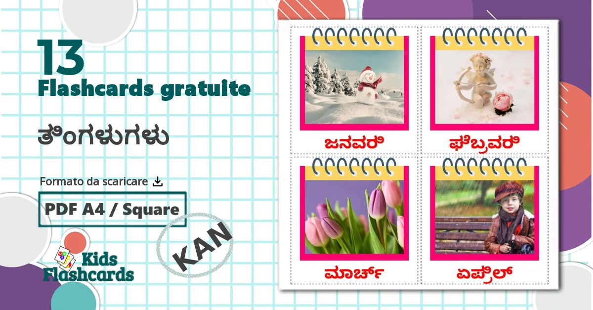 13 flashcards di Membri Della Famiglia