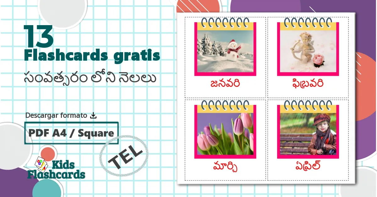 13 tarjetas didacticas de సంవత్సరం లోని నెలలు