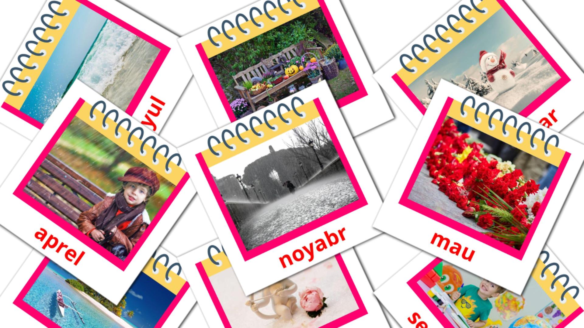12 Yil oylari flashcards