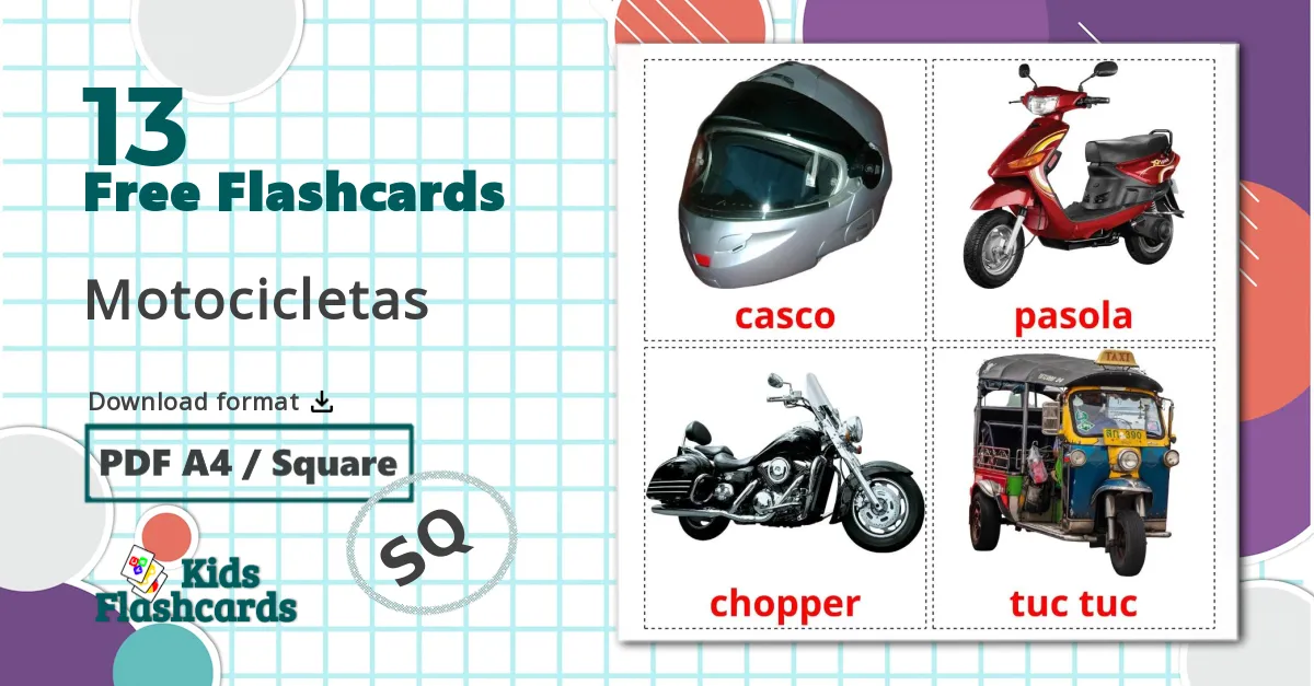 13 Motorcycles flashcards