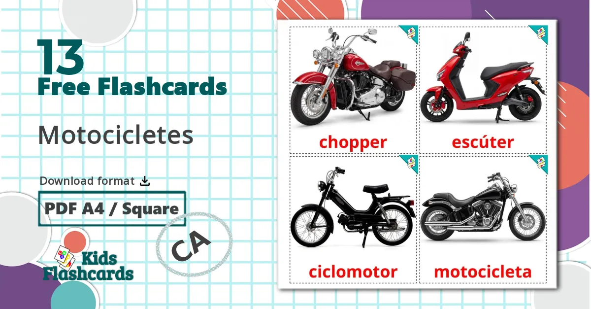 13 Motorcycles flashcards