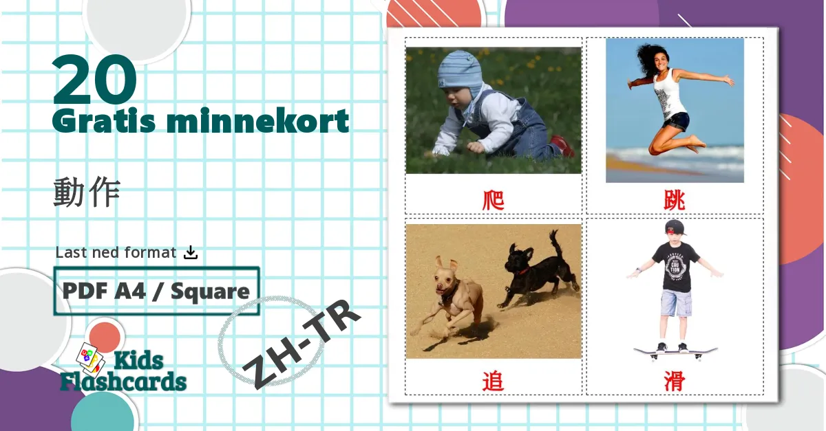 20 動作 bildekort