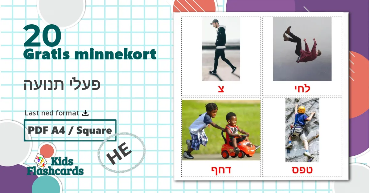 20 פעלי תנועה bildekort