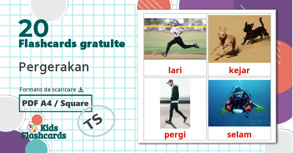 20 flashcards di Parco giochi