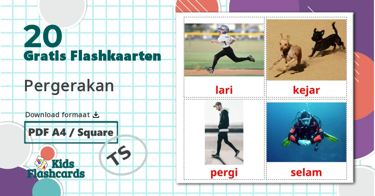 20 Werkwoorden van beweging flashcards