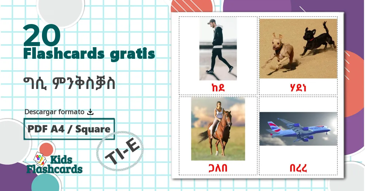 20 tarjetas didacticas de ግሲ ምንቅስቓስ