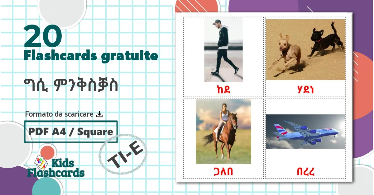 20 flashcards di ግሲ ምንቅስቓስ