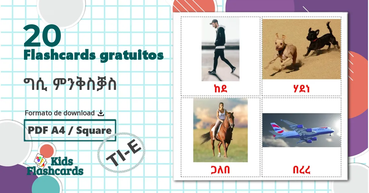 20 Flashcards de ግሲ ምንቅስቓስ