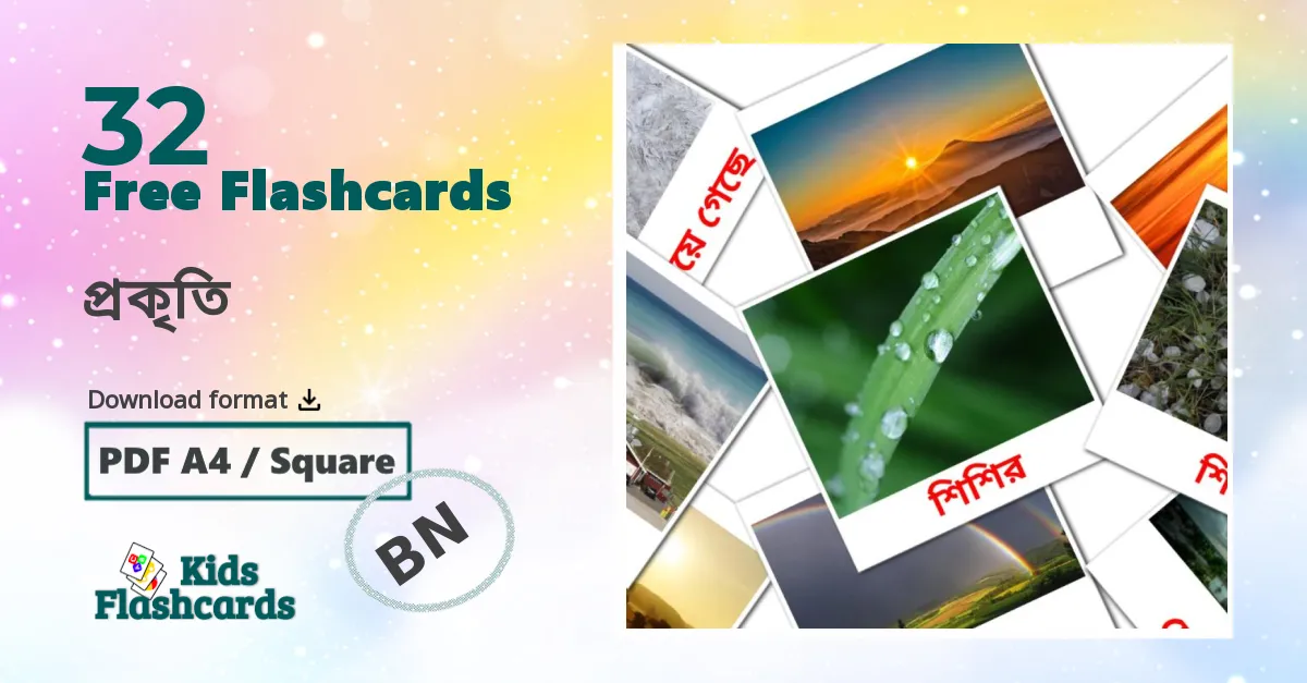 প্রকৃতি  bengali vocabulary flashcards