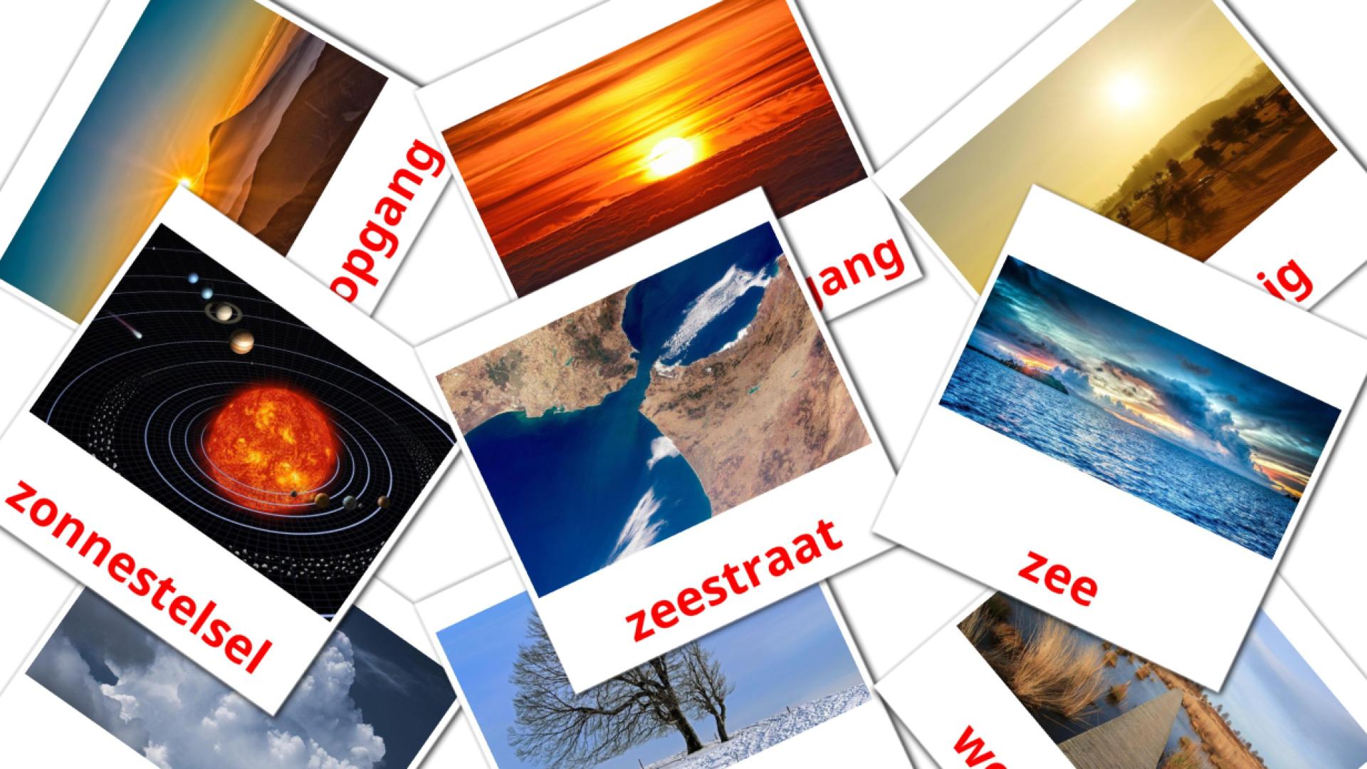 Natuur Flashcards di vocabolario olandese