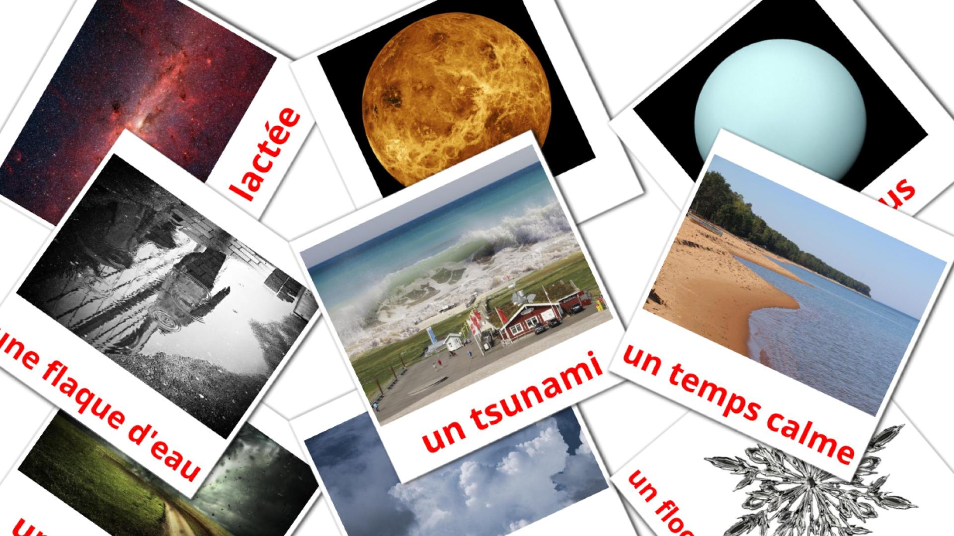 Nature Flashcards di vocabolario francese