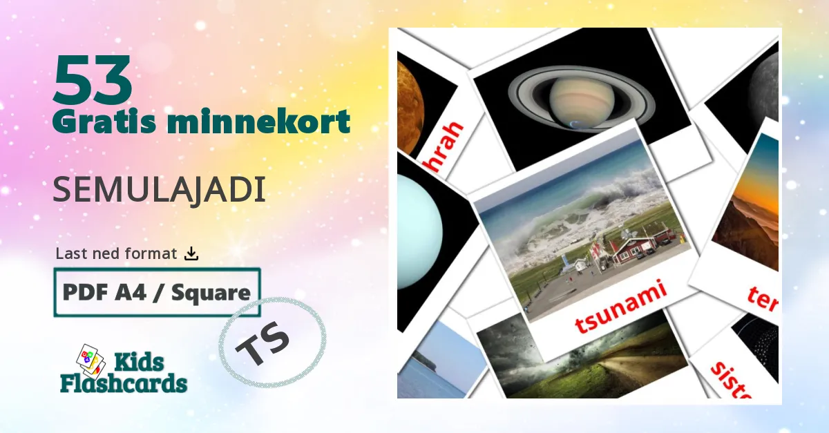 53 SEMULAJADI bildekort