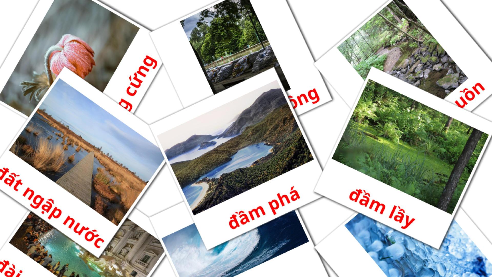 Thiên nhiên Flashcards di vocabolario vietnamita