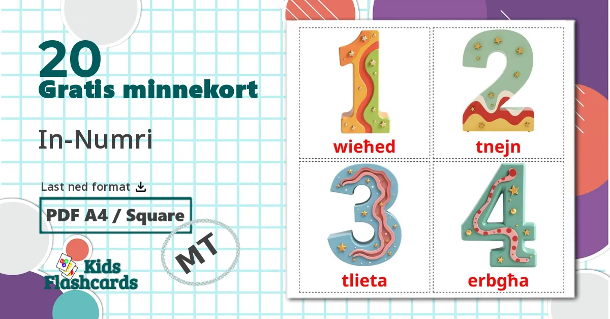 20 In-Numri bildekort