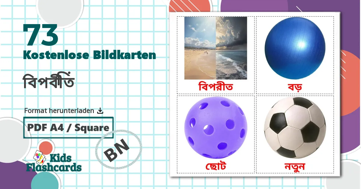 73 Bildkarten für বিপরীত