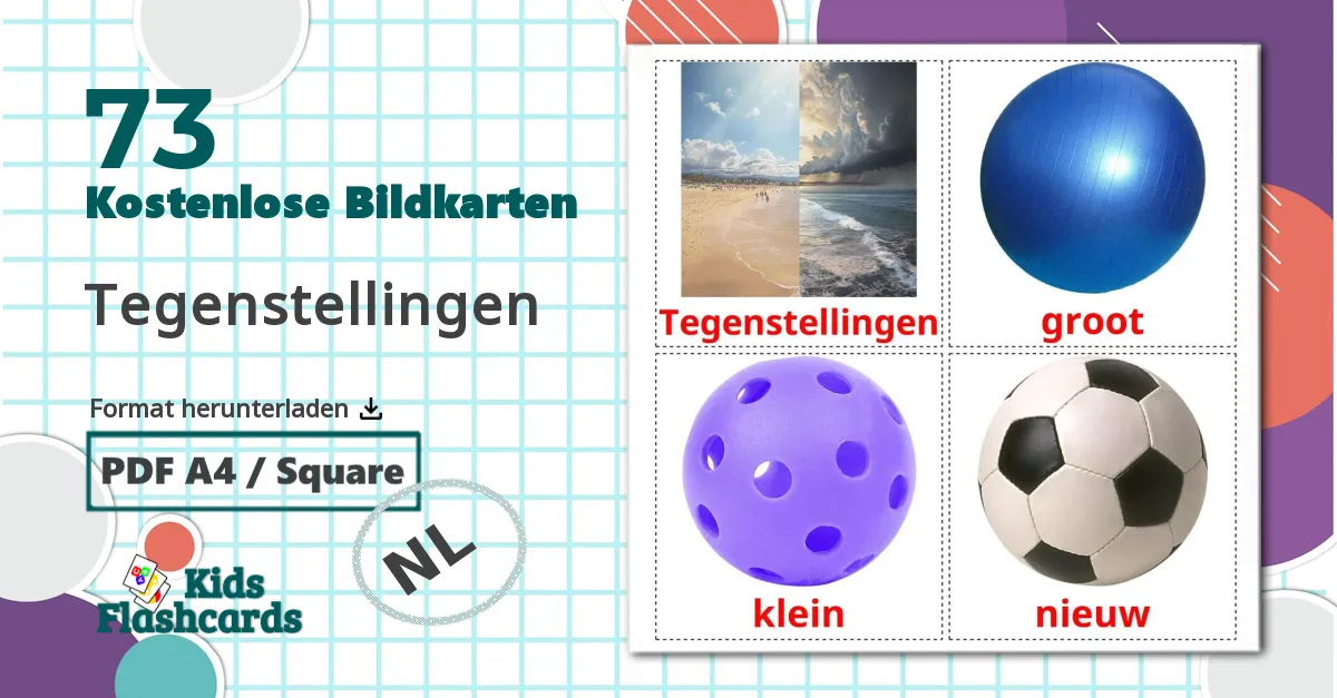 73 Bildkarten für Tegenstellingen