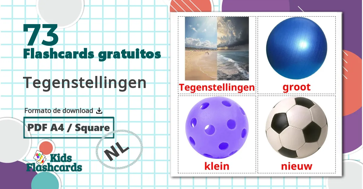 73 Flashcards de Tegenstellingen