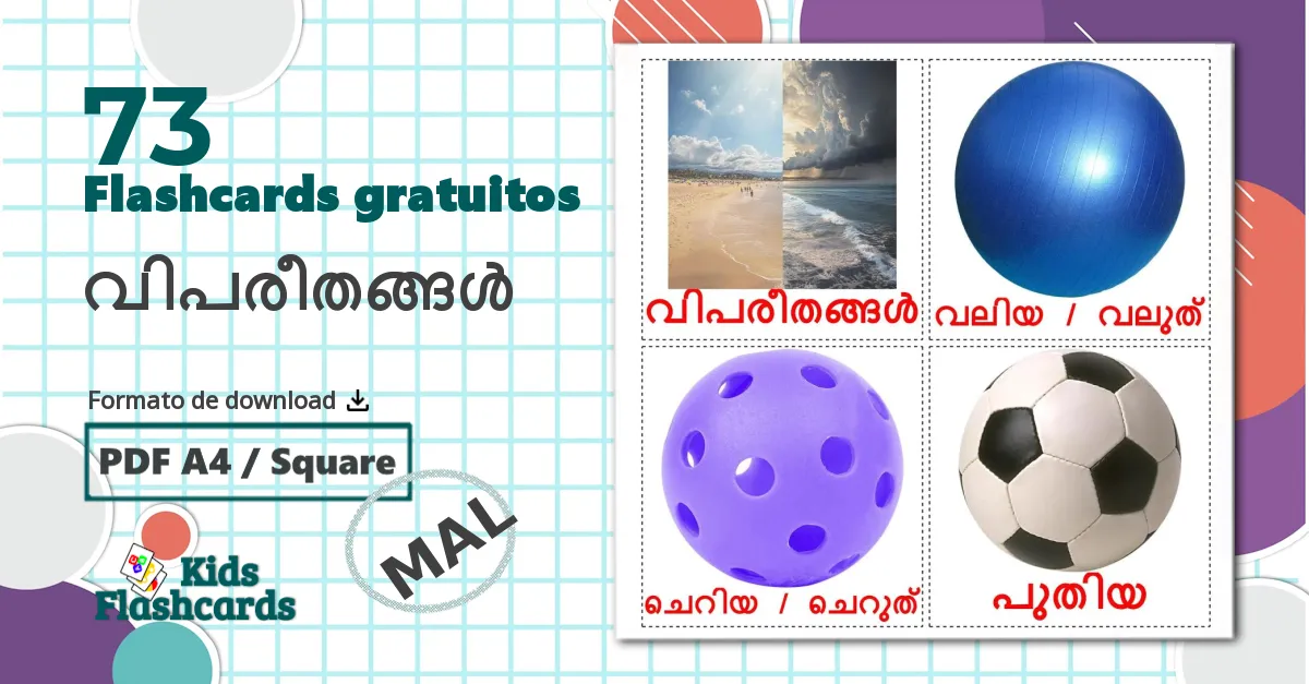 73 Flashcards de Opostos