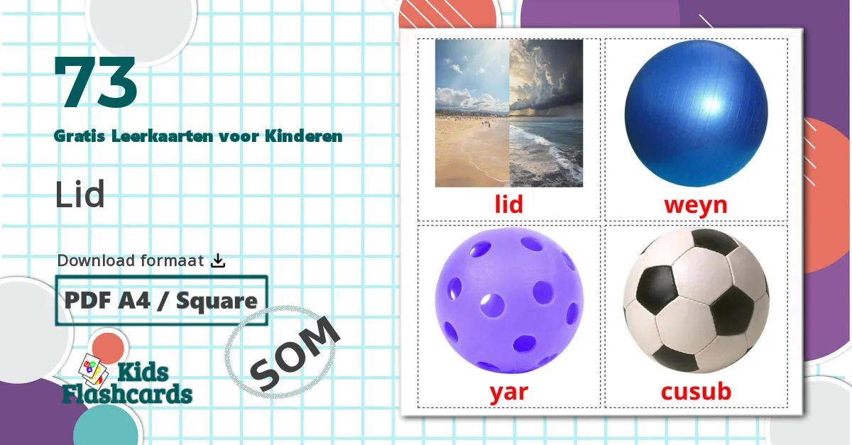 73 Tegenstellingen Leerkaarten voor kinderen