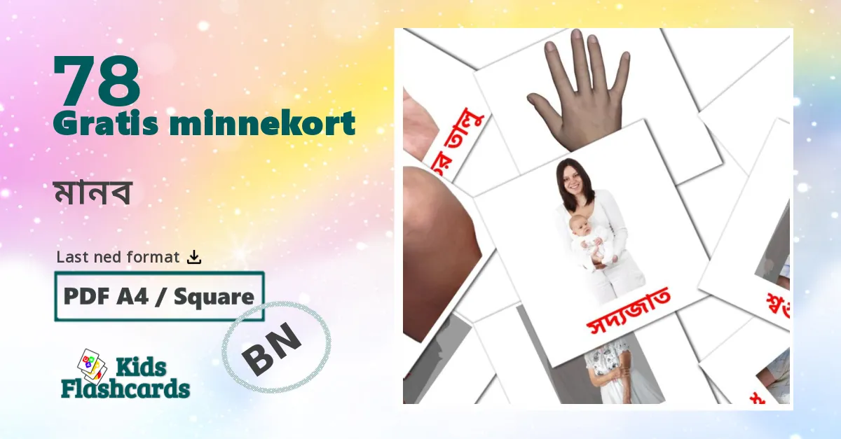 78 মানব bildekort