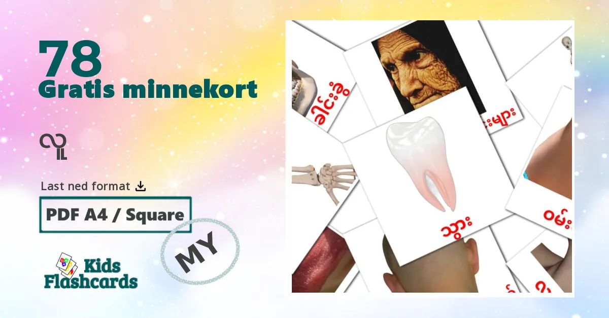 လူ bildekort for barn på burmesisk