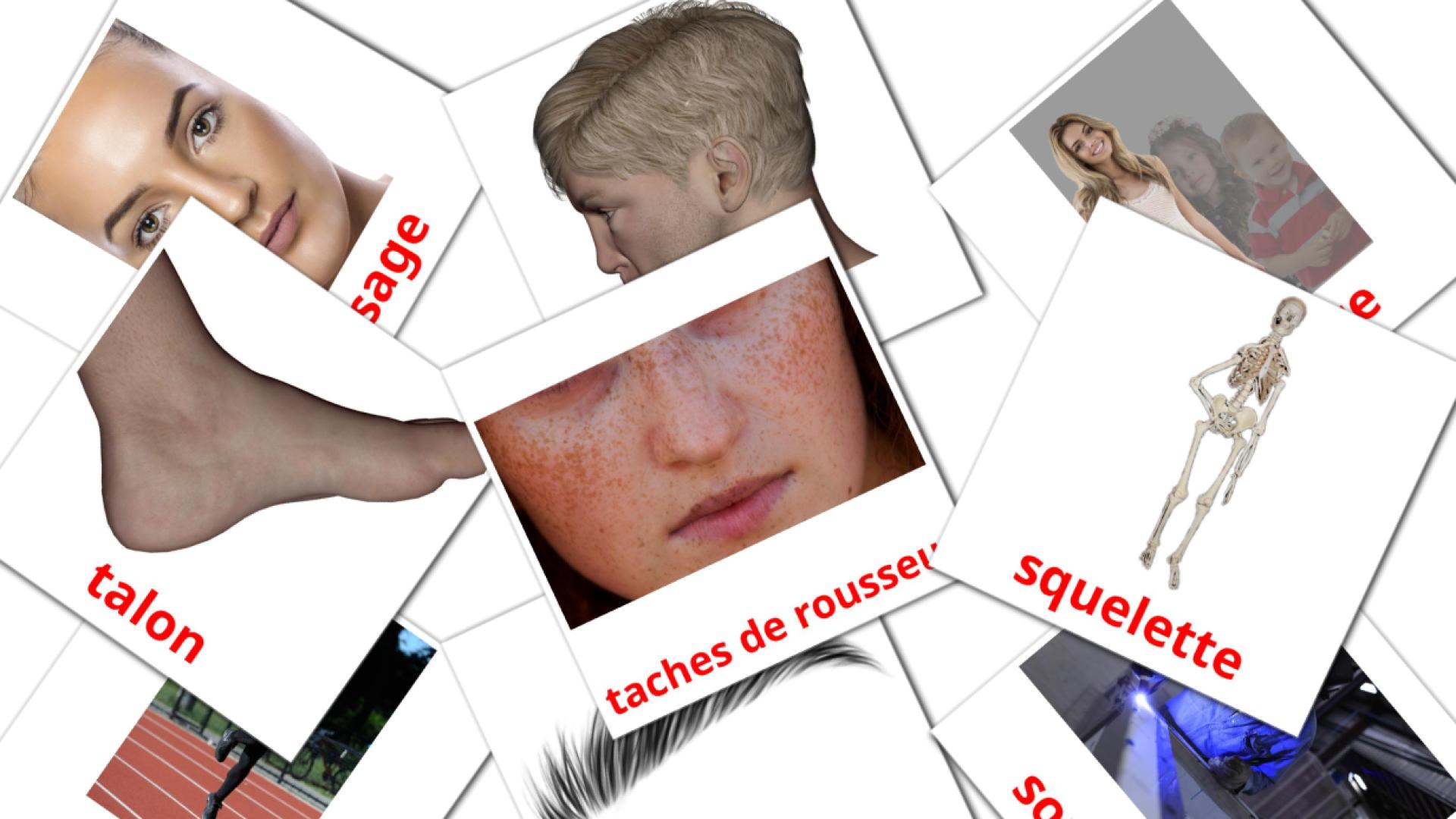 francés tarjetas de vocabulario en Personnes