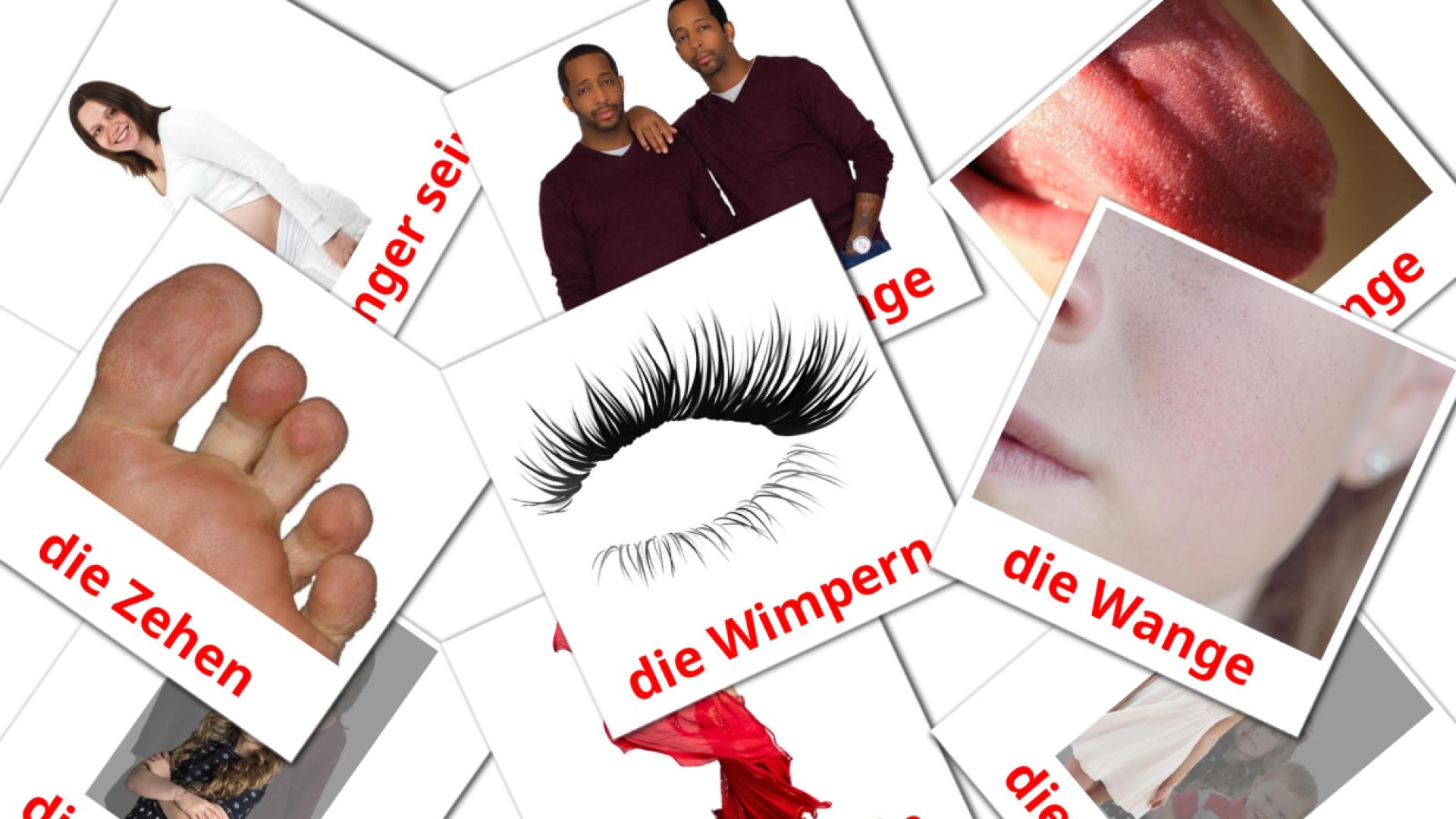 Menschen german vocabulary flashcards