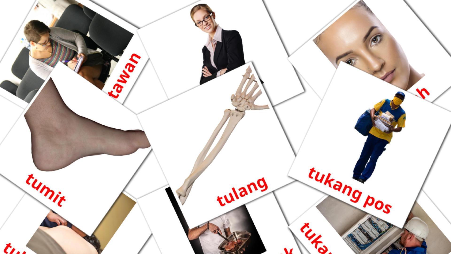 indonesio tarjetas de vocabulario en Orang