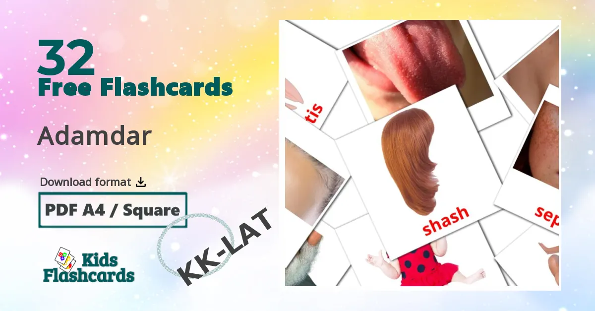 32 Adamdar flashcards