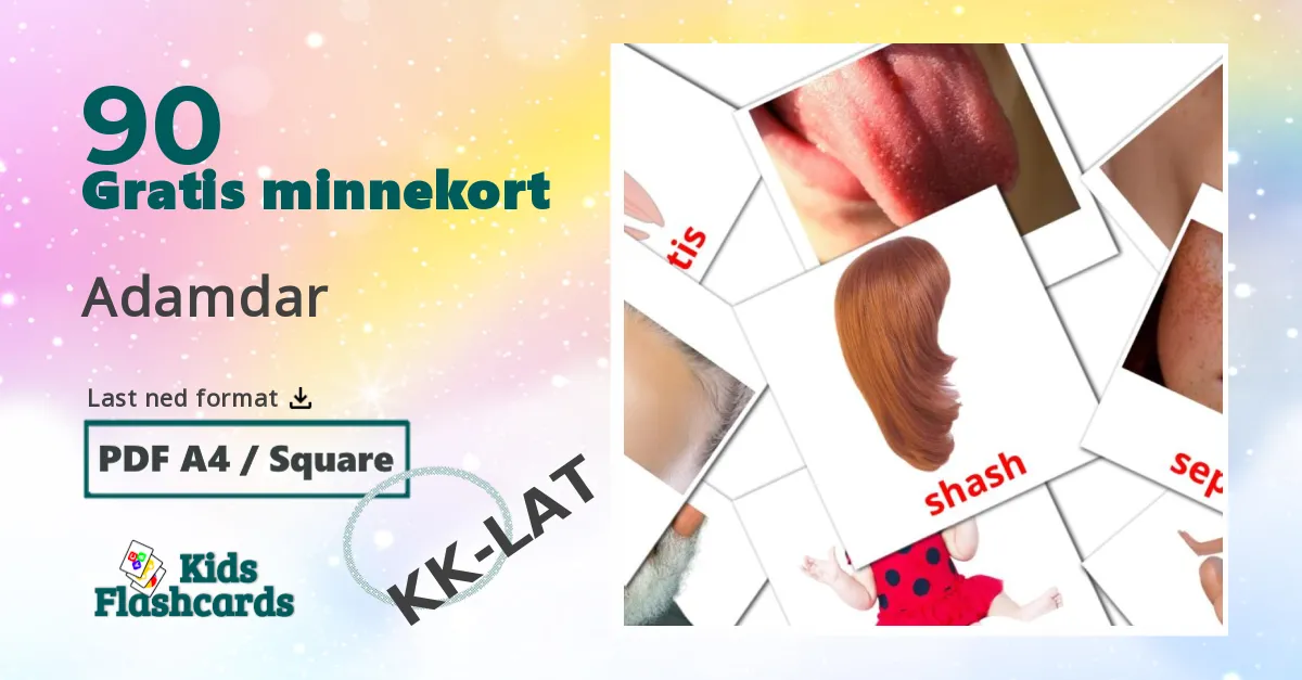 90 Adamdar bildekort