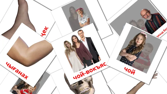 Кот по казахски перевод по казахски - Учим языки вместе