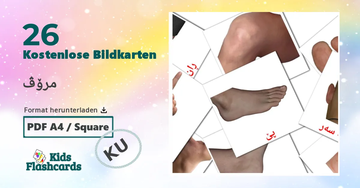Bildkarten für Menschen