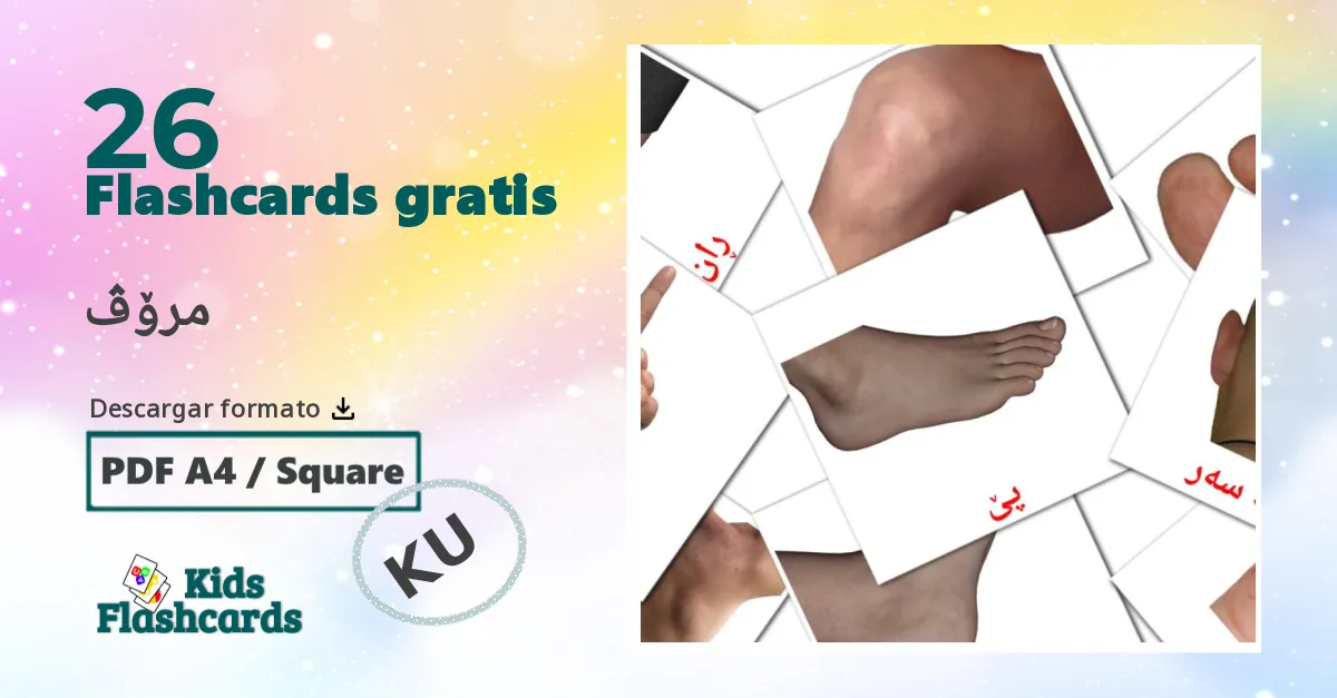 kurdo(kurmanj) tarjetas de vocabulario en مرۆڤ
