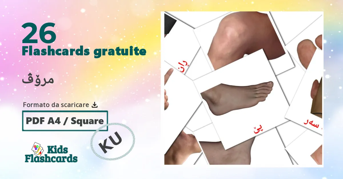 مرۆڤ Flashcards di vocabolario kurdish(kurmanj)