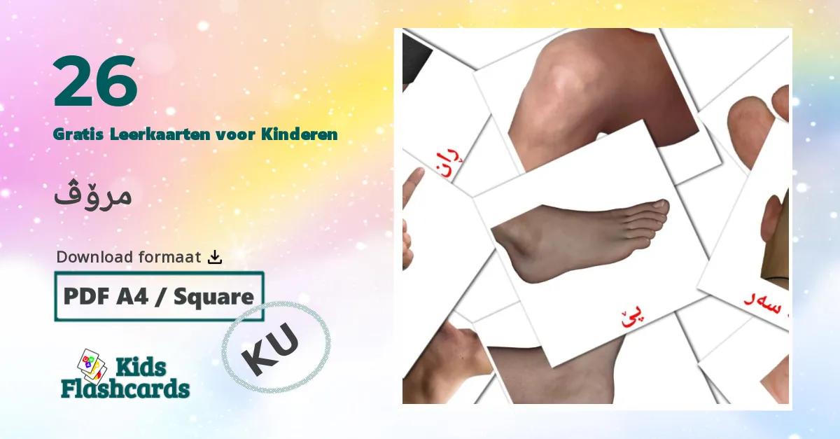 Mensen Leerkaarten voor kinderen