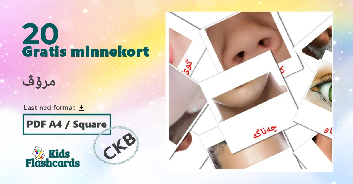 مرۆڤ bildekort for barn på kurdisk(sorani)
