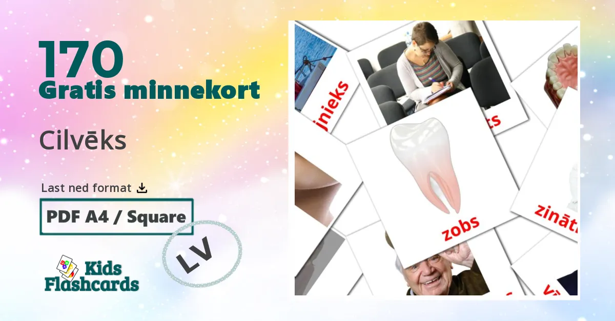 170 Cilvēks bildekort