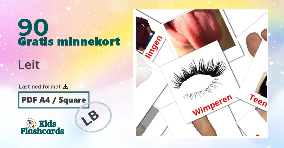 90 Leit bildekort