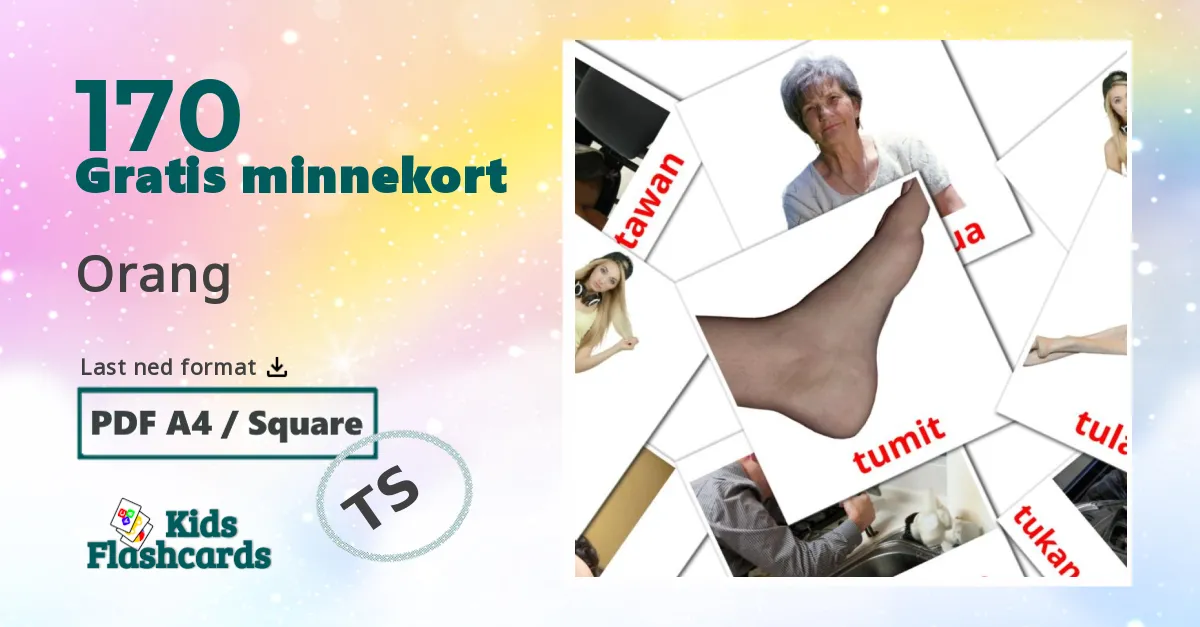 170 Orang bildekort