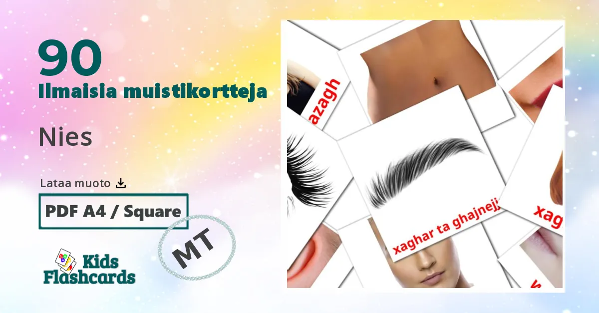 Nies – lasten kuvakortit maltanksi sanastoon