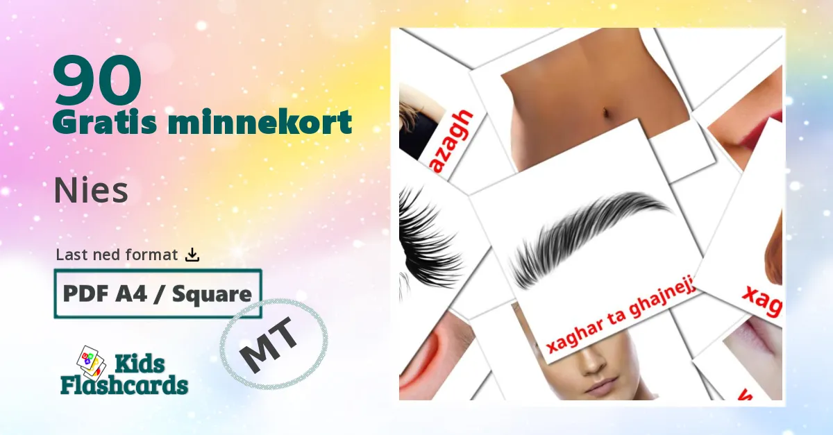 Nies bildekort for barn på maltesisk