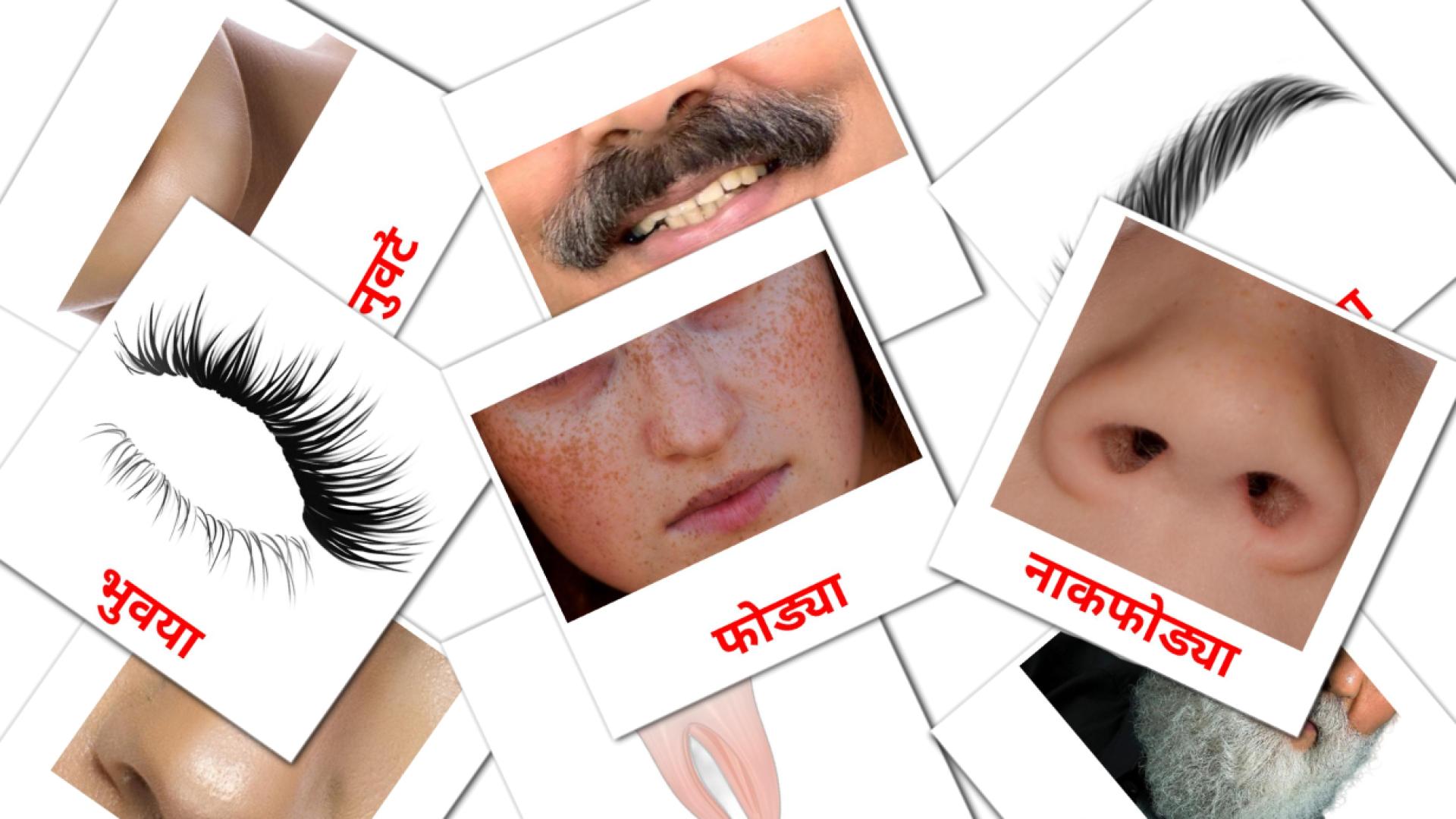 लोक marathi vocabulary flashcards