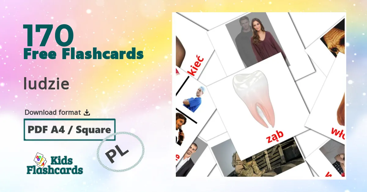 ludzie polish vocabulary flashcards