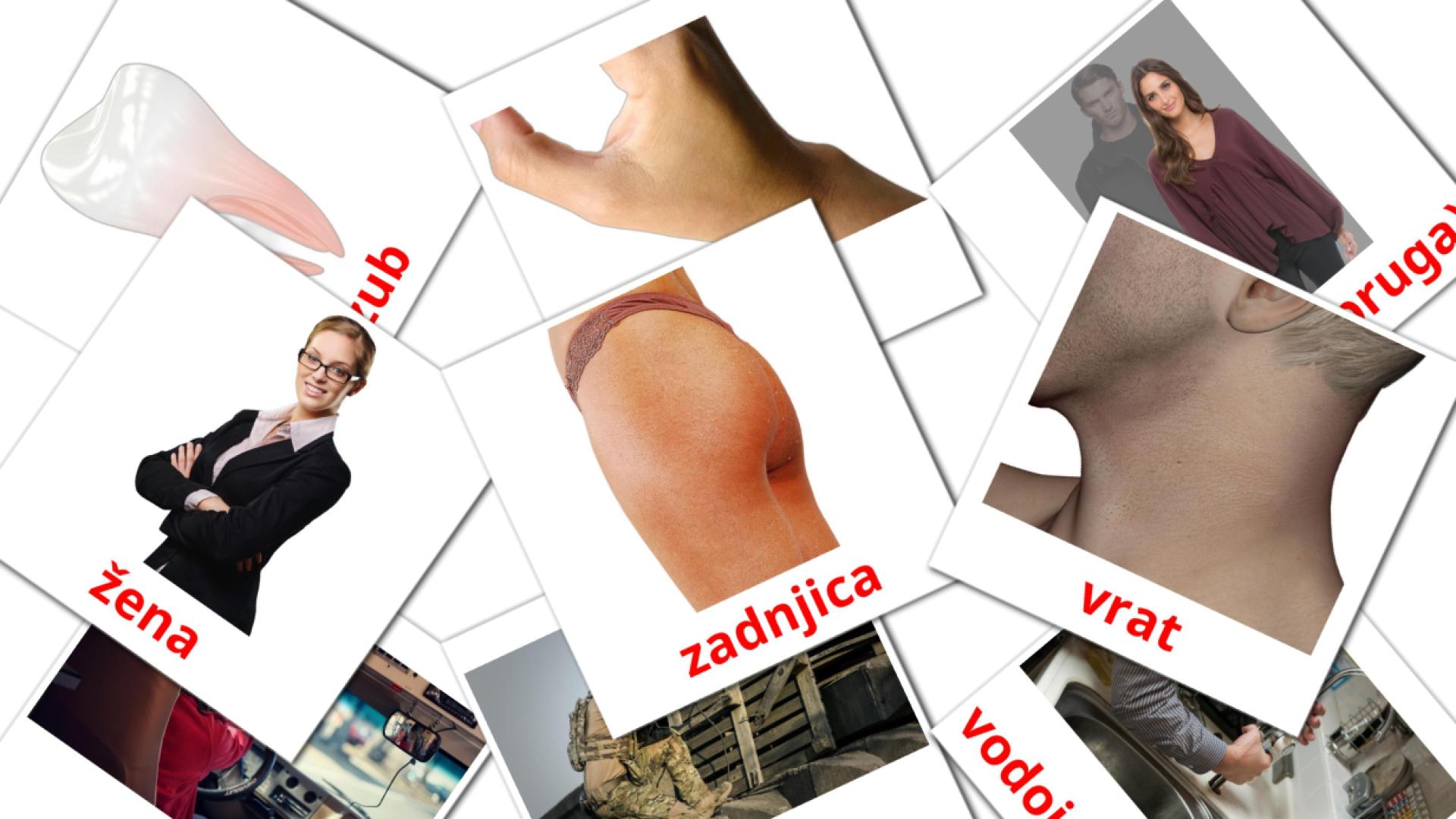 serbio tarjetas de vocabulario en ljudi