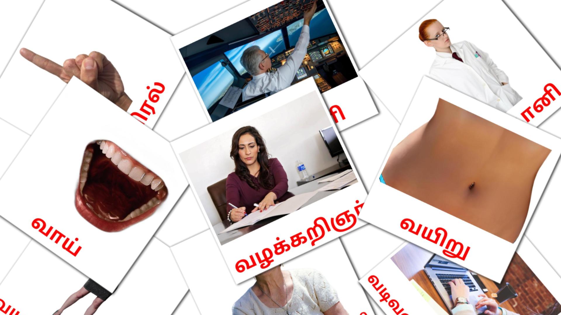 tamil tarjetas de vocabulario en மக்கள்