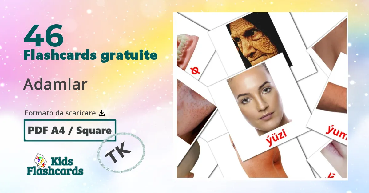 flashcards di Uccelli