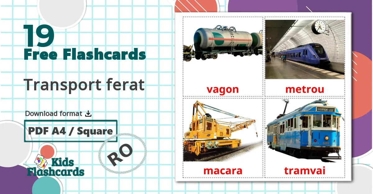 19 Transport ferat  flashcards