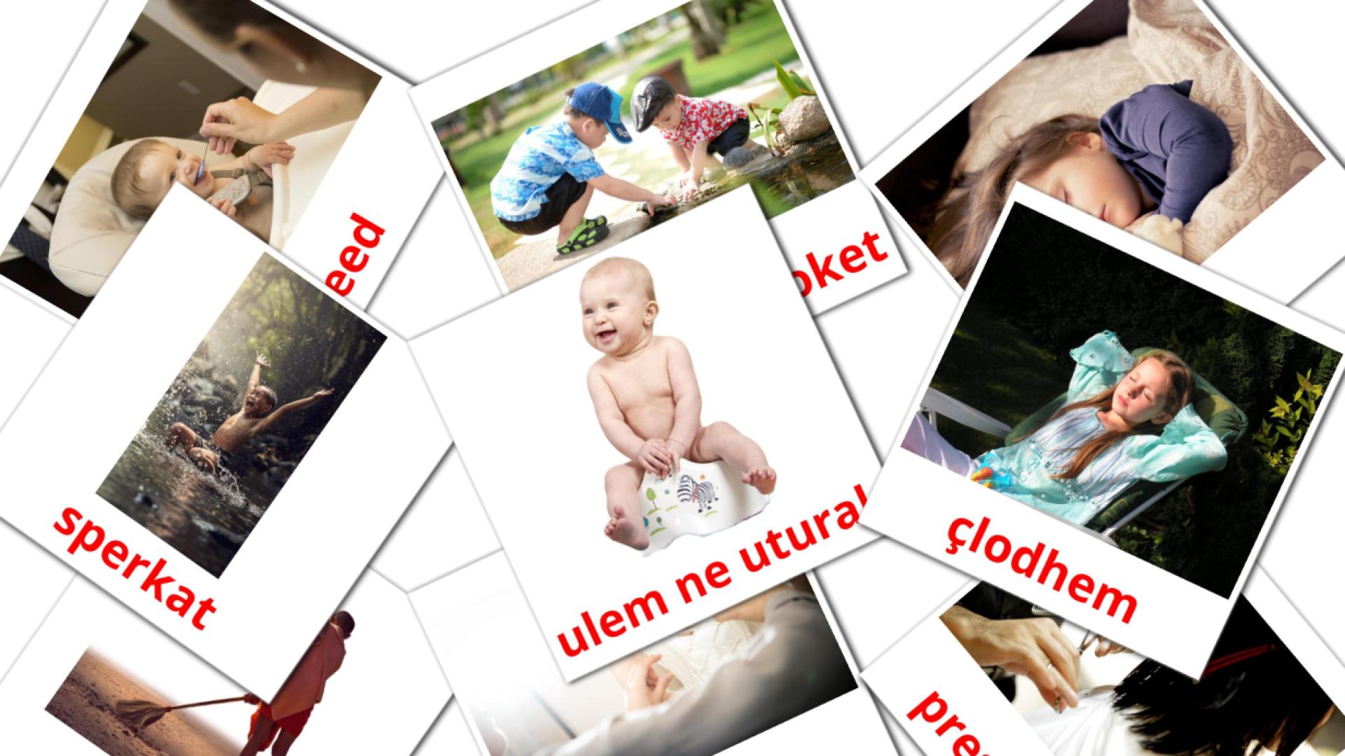 Routine verbs - albanian vocabulary cards