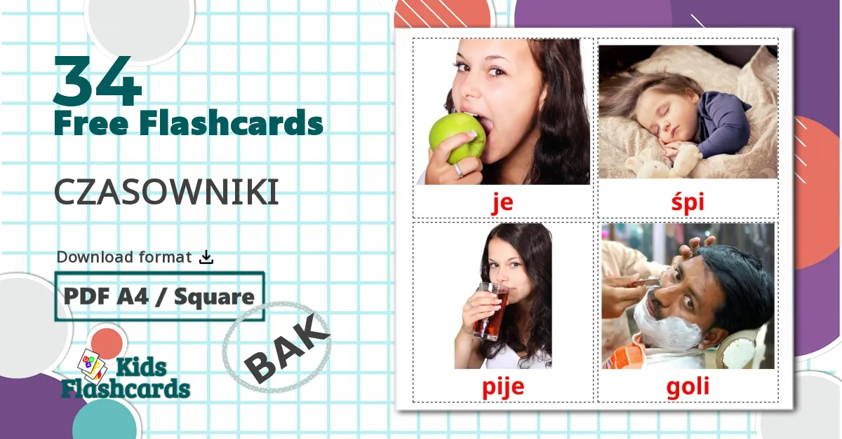 34 Wild birds flashcards
