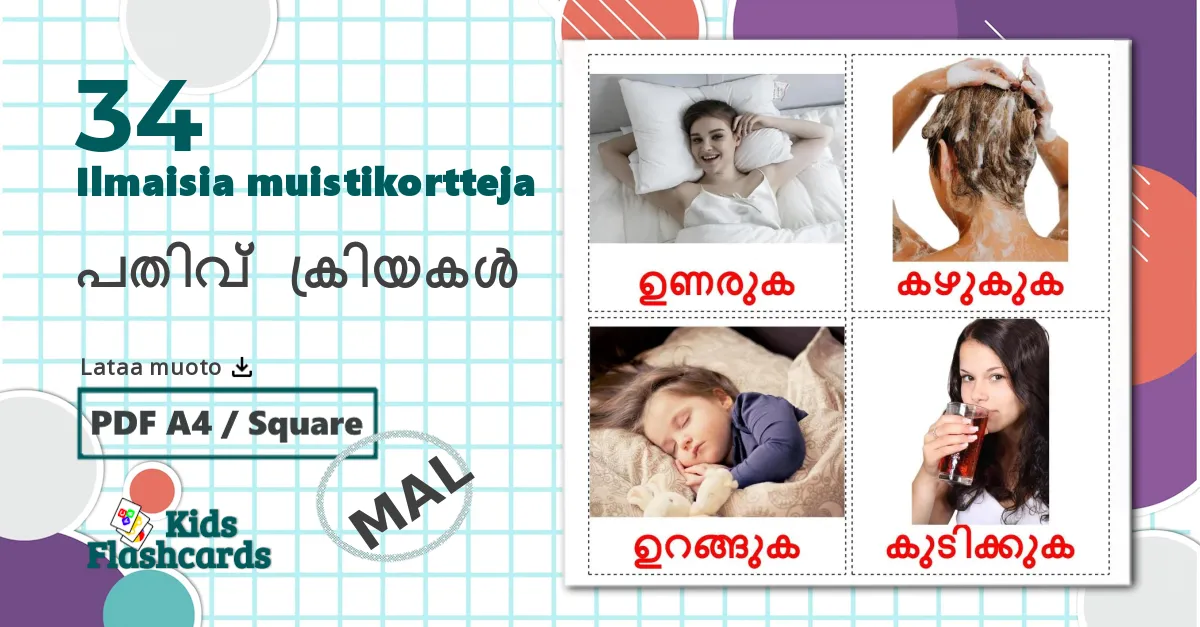 34 Hyönteiset lasten kuvakortit